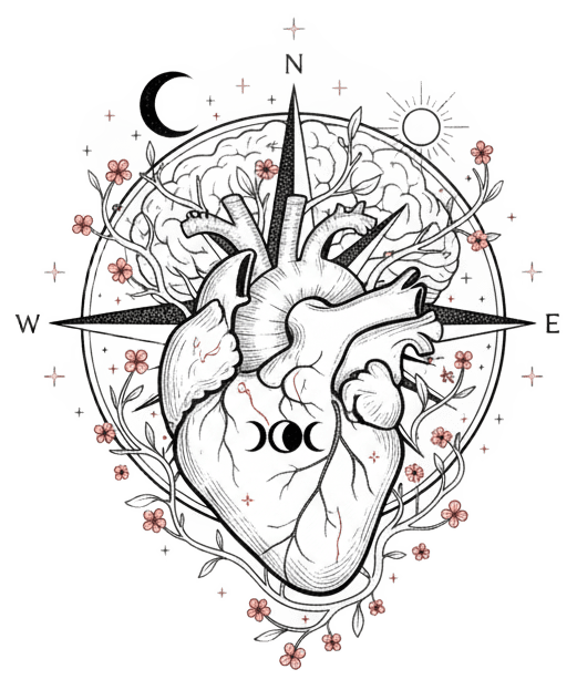 Características principales